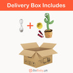 Dancing & Talking Cactus Delivery Box Includes