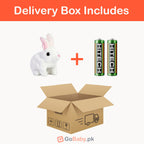 White Plush Rabbit Jumping Toy Delivery Box Includes