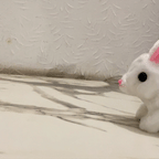 rabbit gif