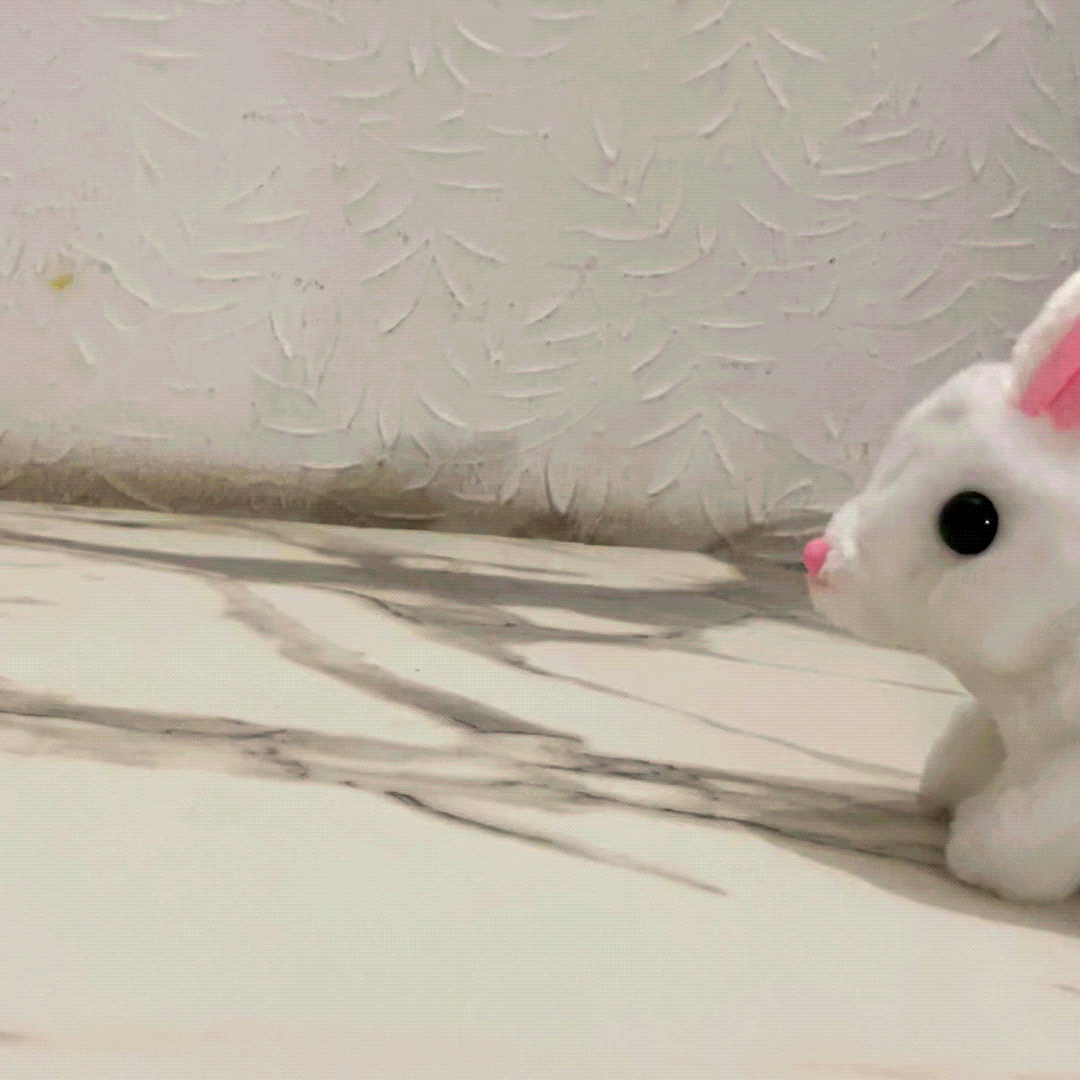rabbit gif