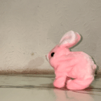 rabbit pink gif